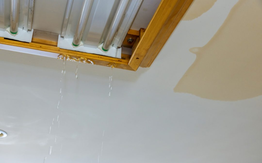 Effectively Handling Rain Damage in Your Home