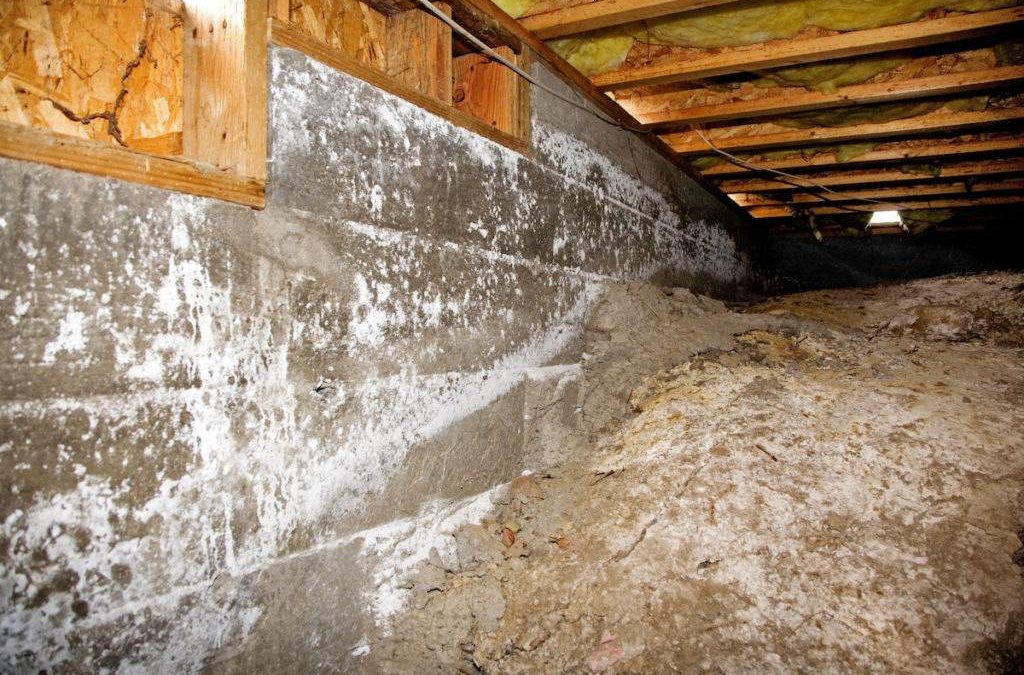 A Guide to Crawl Space Cleanup: Protect Your Home from Damage & Hazards