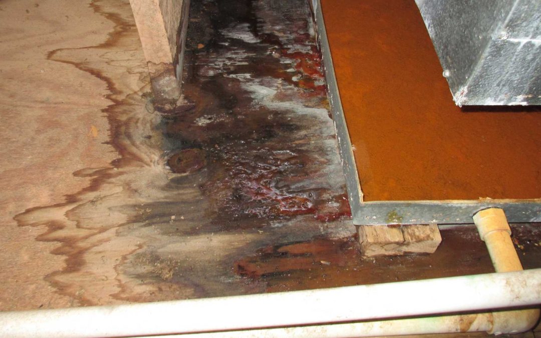 Why Call Emergency Water Damage Restoration in Citrus Heights This July?