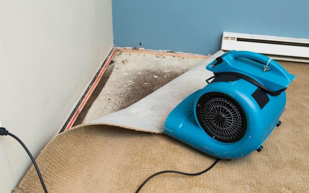 Flood Damage Cleanup: Essential Steps and the Role of Professional Restoration Services