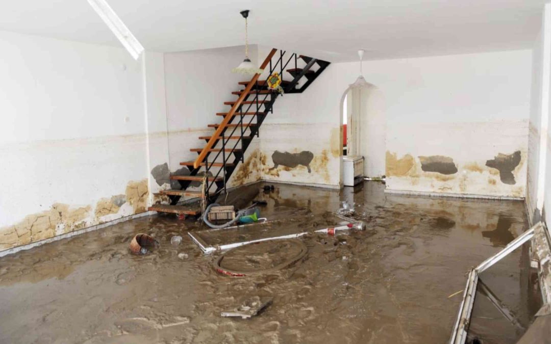 How Do Professionals Detect Hidden Water Damage in Citrus Heights Homes?