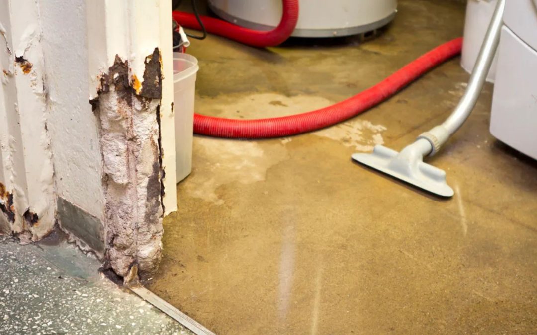 Can Water Damage in Roseville Homes Cause Mold in Less Than 48 Hours?