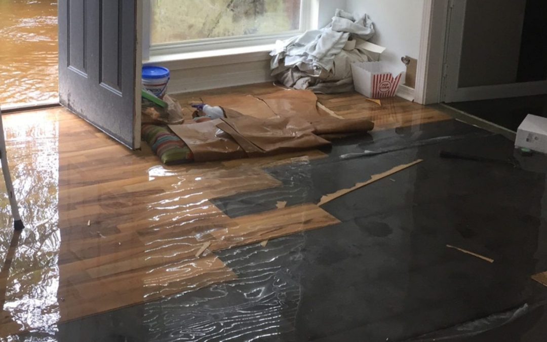 What Are the Steps Involved in Professional Water Damage Restoration in Roseville?