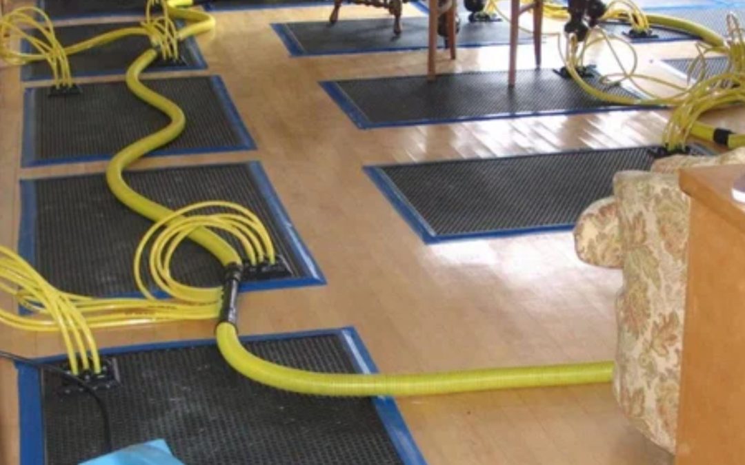 What Are the Common Causes of Water Damage in Citrus Heights Properties?