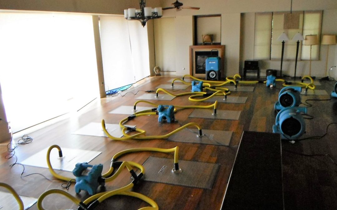 What Is Water Mitigation in Sacramento and Why Is It Important After Water Damage?