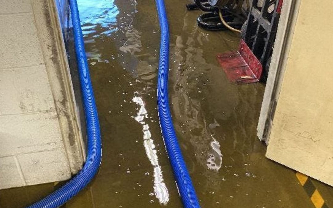 How Does Water Mitigation Work in Sacramento Homes After Flood or Leak Damage?
