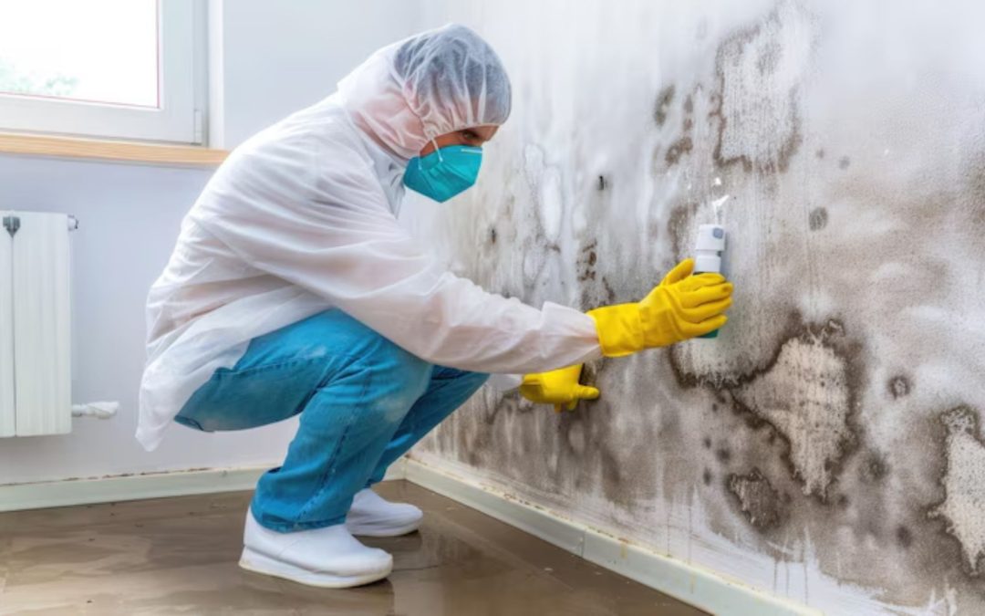 Can a Mold Inspection Help Before Buying a Home in Sacramento?