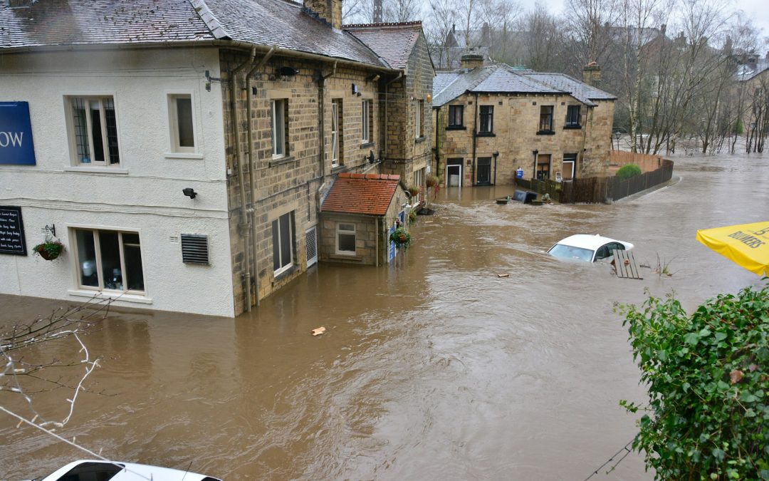 Comprehensive Flood Damage Cleanup Guide: Restoring Safety and Normalcy to Your Home