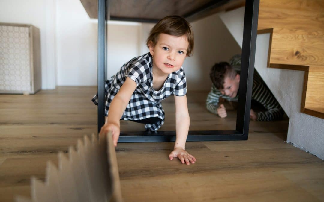 A Guide to Crawl Space Cleanup: Safeguarding Your Home’s Health and Structural Integrity