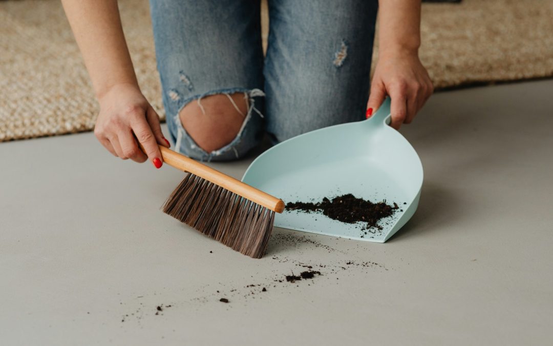 Crawl Space Health and Cleanliness Tips