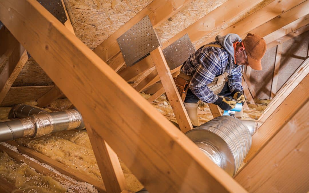 Safeguarding Your Home with Crawl Space Cleanup: A Comprehensive Guide