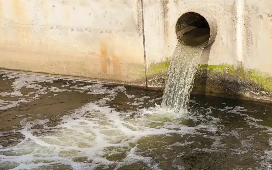A Comprehensive Guide to Sewage Cleanup: Protecting Your Home and Health