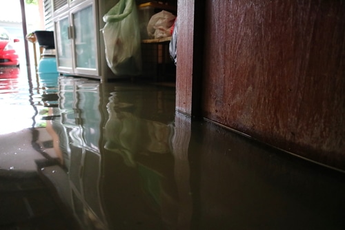 Flood Damage Cleanup Essentials: The Complete Guide to Restoring Your Home